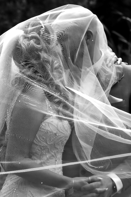 Image 12 from Carmen Falkenburg Photography