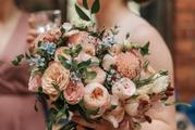 Thumbnail image 12 from Fox & Flora