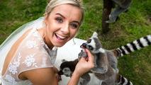 Thumbnail image 1 from Yorkshire Wildlife Park