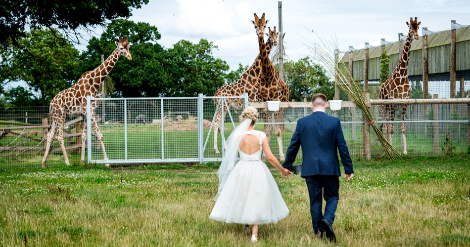 Image 1: Yorkshire Wildlife Park