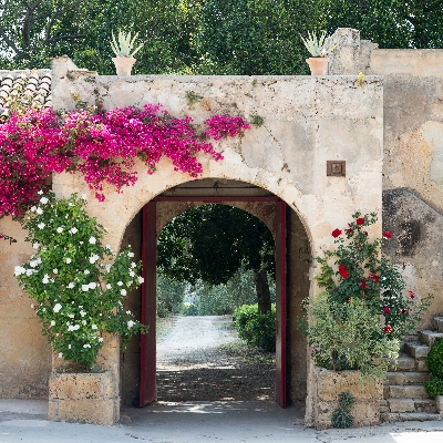 Honeymoon News: Tenuta Zisola in Sicily offers a range of wine tours