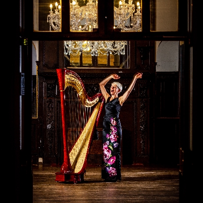 Create a dreamy ambience with a harpist at your wedding day