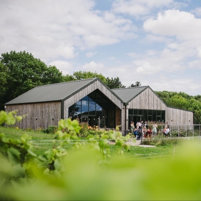 Say I do surrounded by the stunning scenery at Little Wold Vineyard