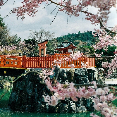 On your travels - why springtime is a wonderful time to honeymoon