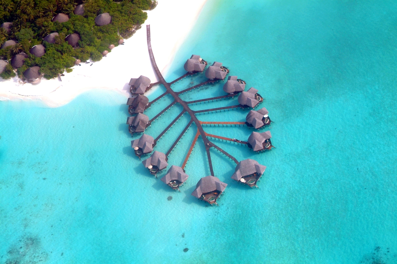 Magic in the Maldives: Image 2