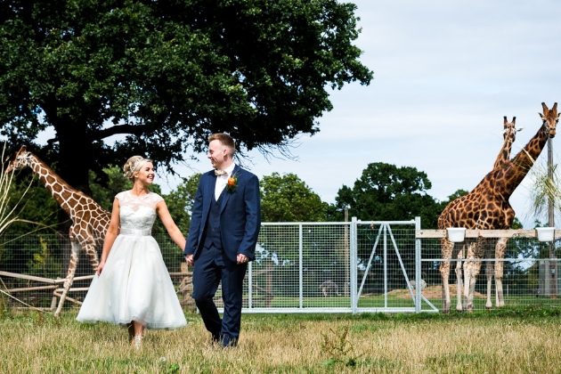 Looking for a Yorkshire wedding venue with a twist? Check out Yorkshire Wildlife Park: Image 1