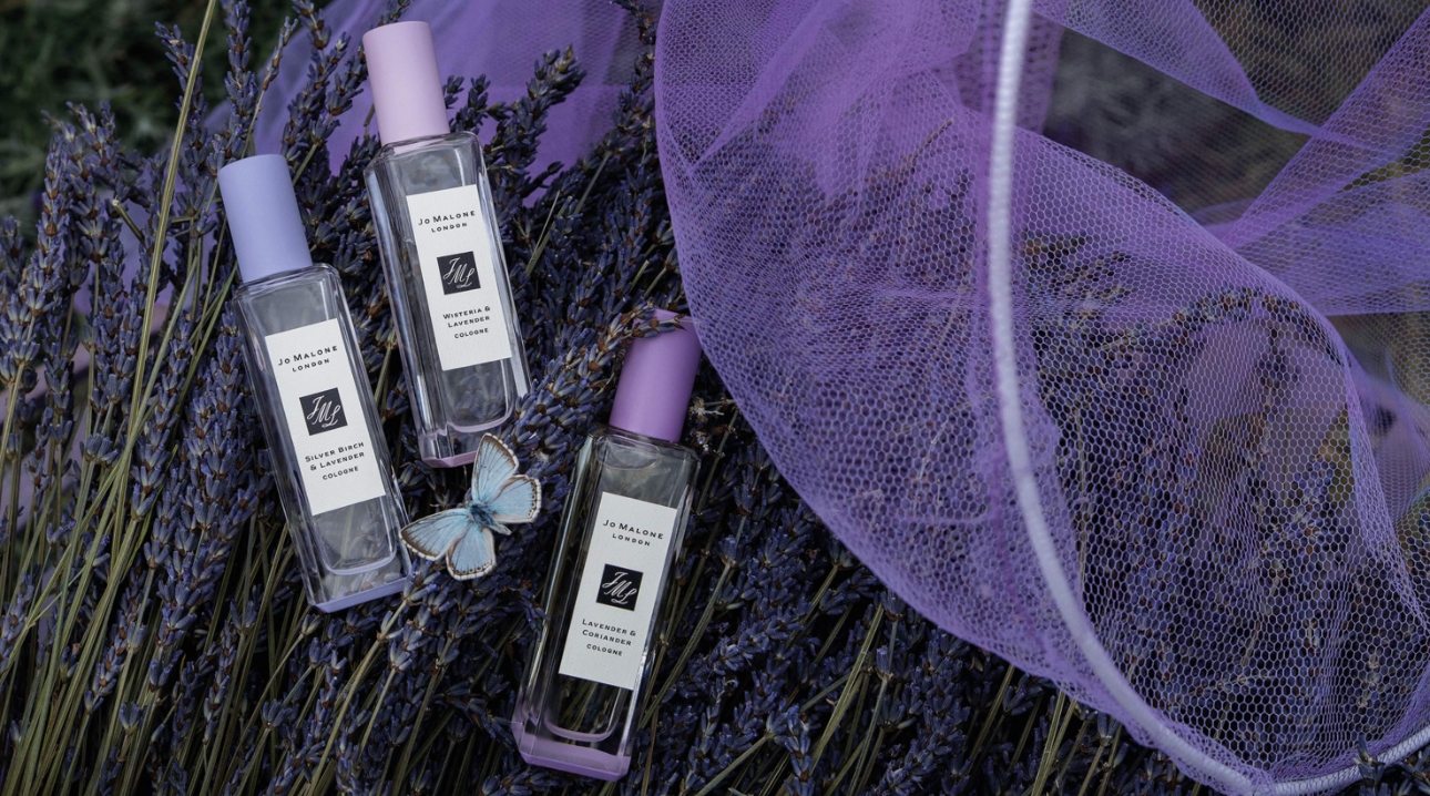 Jo Malone Lavenderland products pictured in a field of lavender