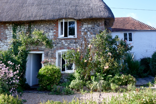 front of cottage thatched rook, blue door, covered in roses.