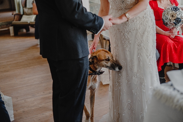 Couple's pet