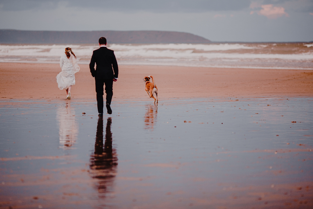 Bride, groom and pet walk along beach