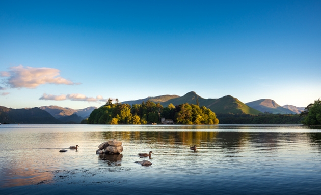 ducks swimming on Derwentwater lake in the Lake District