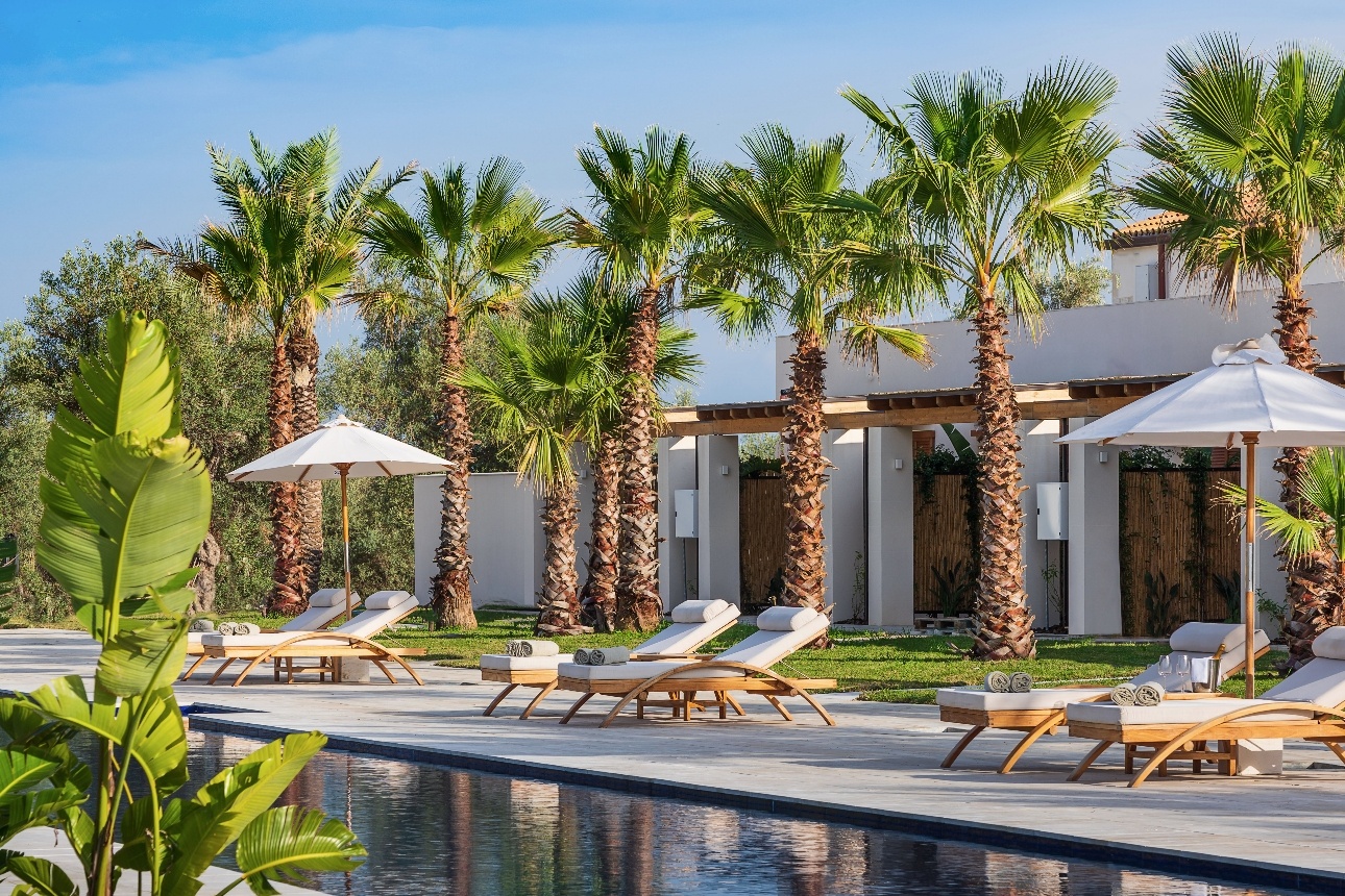 pool with palm trees