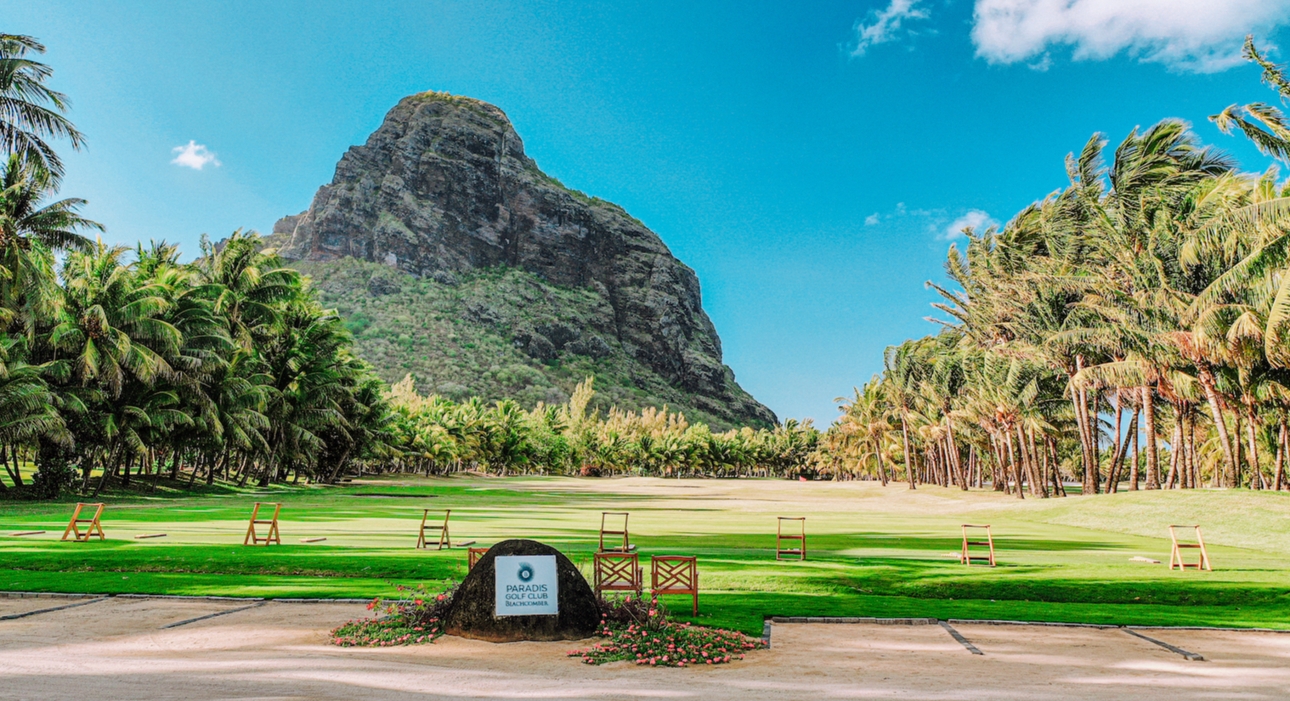 mountain in the distance wth grass and palm trees