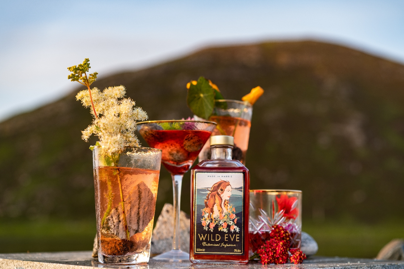 bottle of red liquid, on a rock with mountains in back ground and various cocktails made with the drink