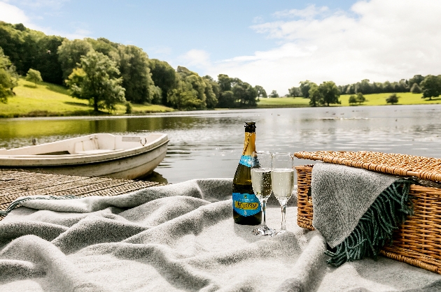 picnic and champagne next to the river
