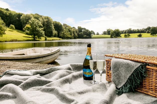 picnic and champagne next to the river