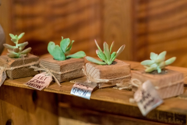 plant favours for a wedding