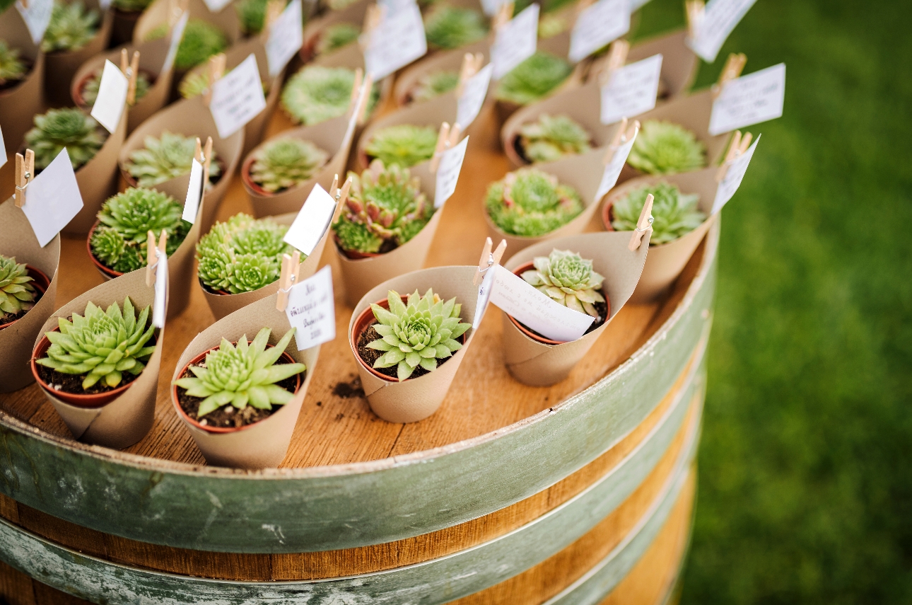 succulent favours on a keg barrel display