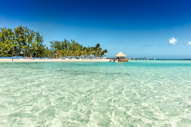 Tropical sandy beach with coconut palms and turquoise water