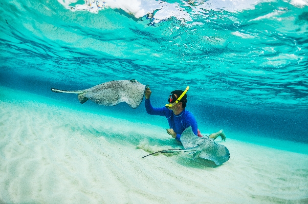 Male snorkeler petting stingray fishes in shallow turquoise water