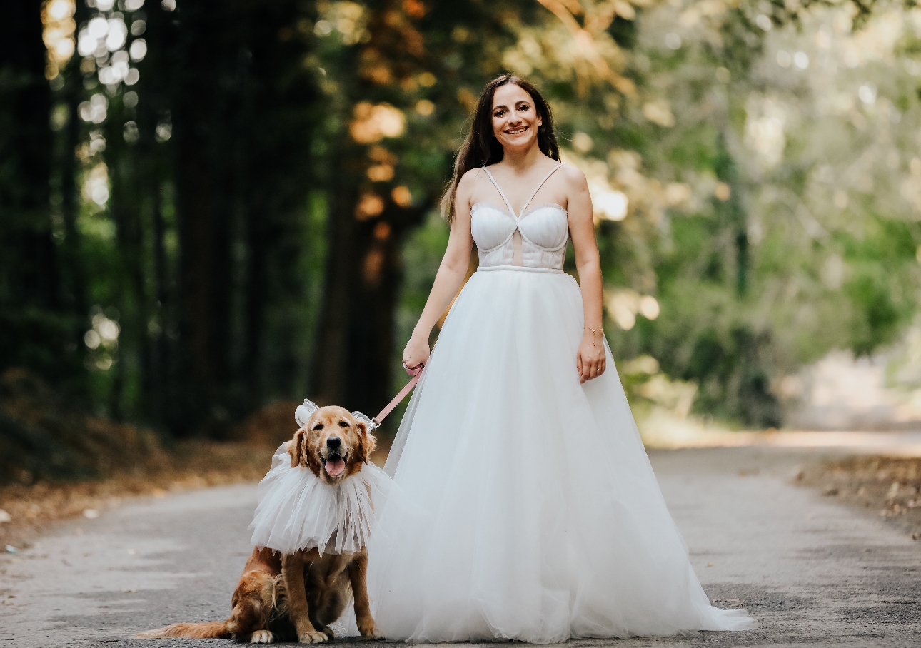 bride in wedding dress holding her pet dog on lead with wedding collar 