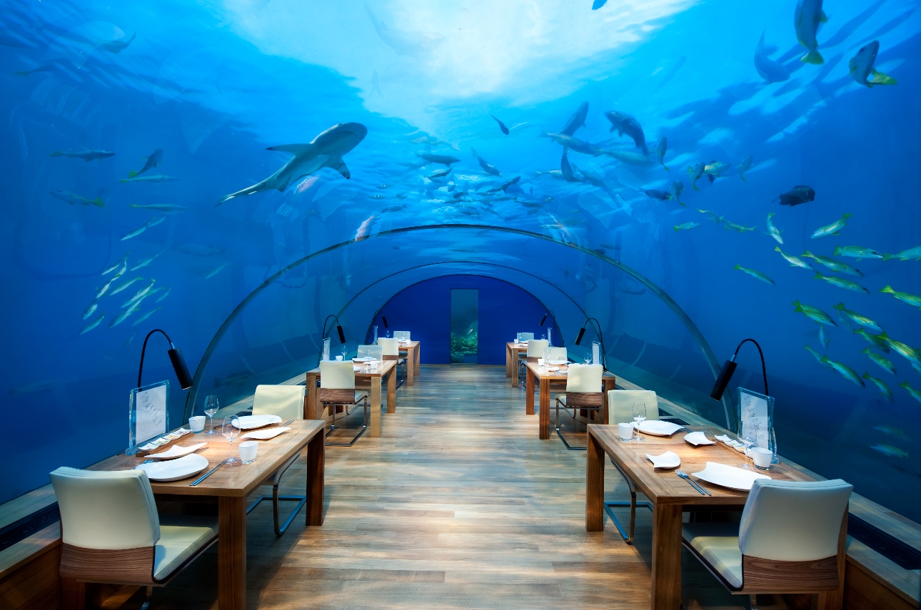 underwater restaurant, glass domed arch with sealife swimming in waters