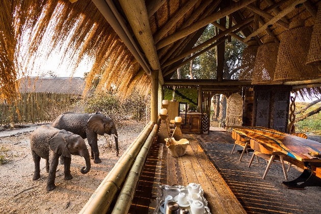 Two elephants standing outside a wooden building that has a dining room table inside
