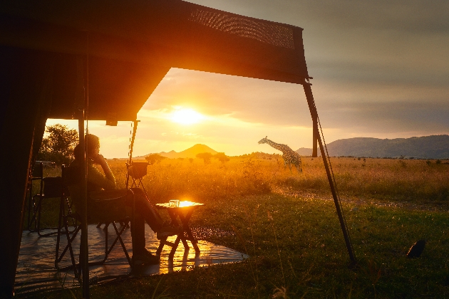 A woman watching a giraffe walk as the sun sets