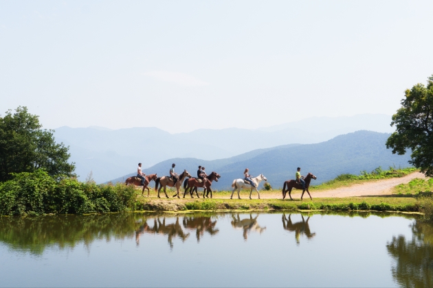 group of people horseback riding