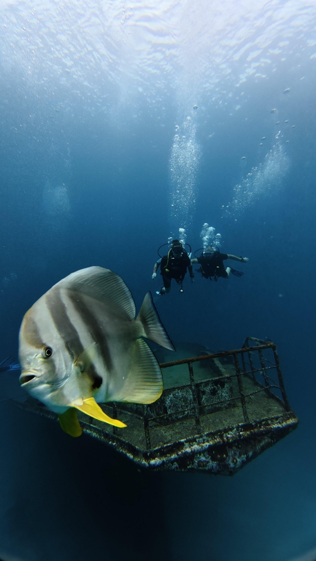 Scuba Diving at Sun Siyam Iru Fushi