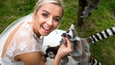 Thumbnail image 2 from Yorkshire Wildlife Park